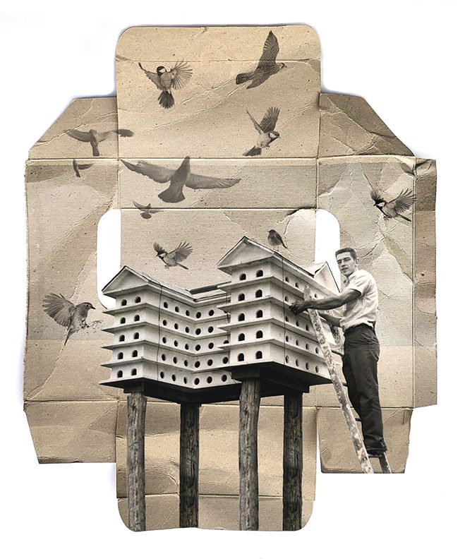 Bird Hotel